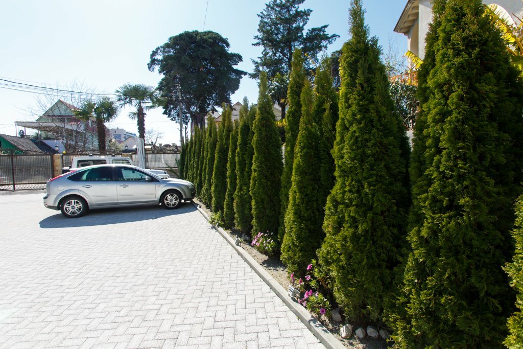 Мини-отель Зорэмма Адлер-58